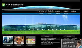 从平面到交互 深入解析网站设计与网页设计的核心差异与实践指南