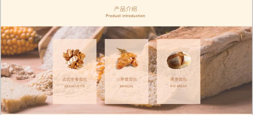 网页设计 从入门到精通的全面指南